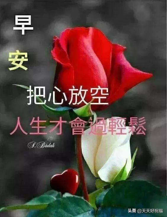 早上好问候语录周一新一周早上好祝愿最温暖的画面