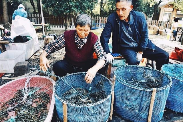 莲花岛大闸蟹