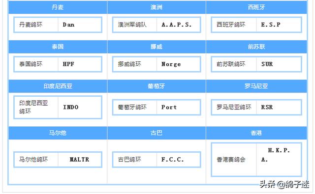 北京信鸽足环号查询