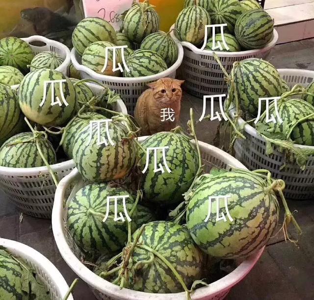 妈耶，把“风流王后”洗成励志白莲花都无人care吗？