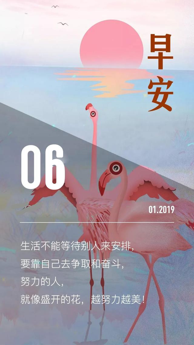 早安日签190106：努力的人，就像盛开的花