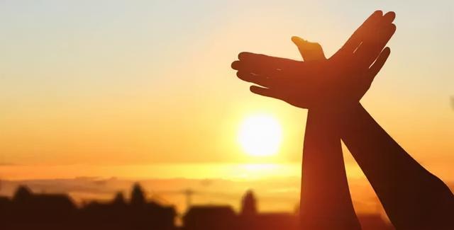 「健康养生」健康有漏洞，及时“打补丁”