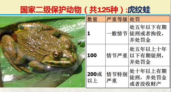 国家二级保护动物