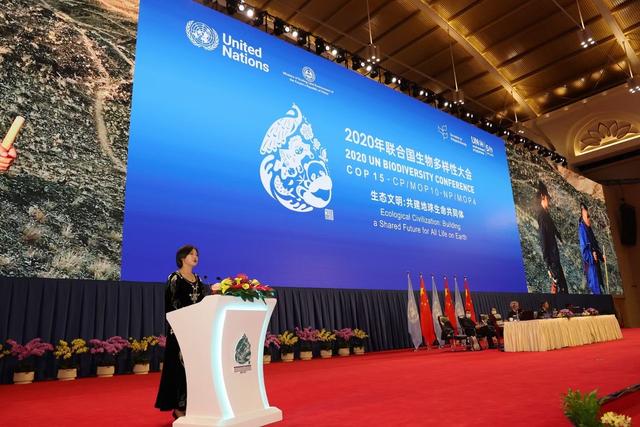 云南挖斗洗砂机厂家批发的简单介绍