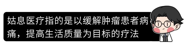 安乐死多少钱 安乐死多少钱（国外安乐死多少钱） 动物