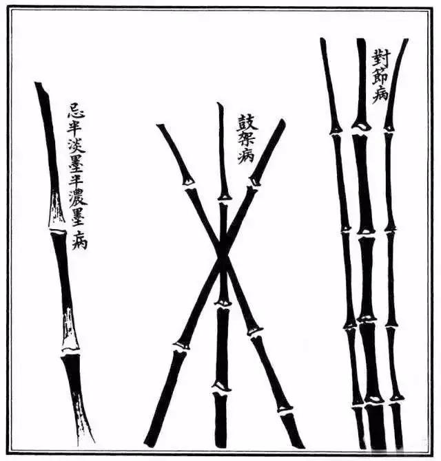 竹子怎么画 竹子怎么画