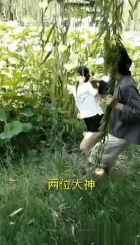 爆笑的GIF趣图：想要吃霸王餐，先把屁股翘起来！
