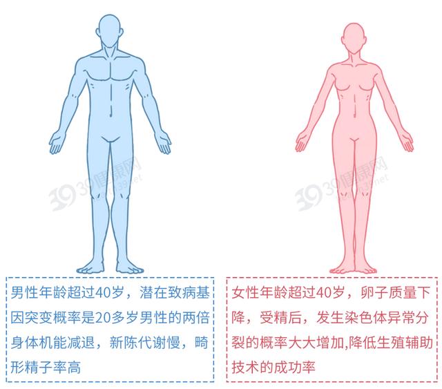 做试管婴儿有多“遭罪”？一篇漫画解释整个过程，看完泪目了