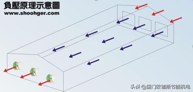 负压式过滤机批发