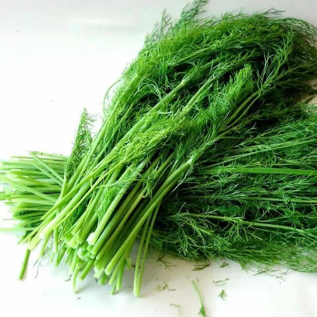 入冬后记得给孩子吃7种绿叶菜，维生素K含量高，价格也不贵