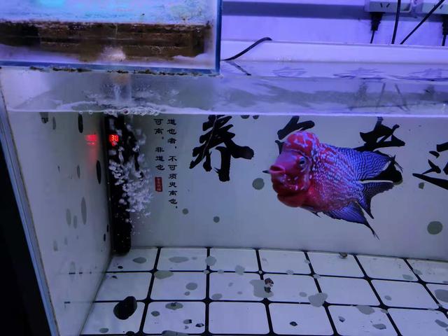 哪个品牌制砂机环保静音