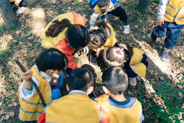 汇爱的“体验式教育”，培养出了怎样的孩子？