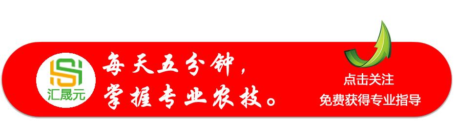 再也不怕病毒病了，中国自主研发的治疗病毒病特效药上市了