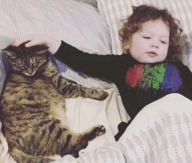 嫌2个孩子在家太闹腾，女子领养了两只猫咪：这下总该安静了吧？