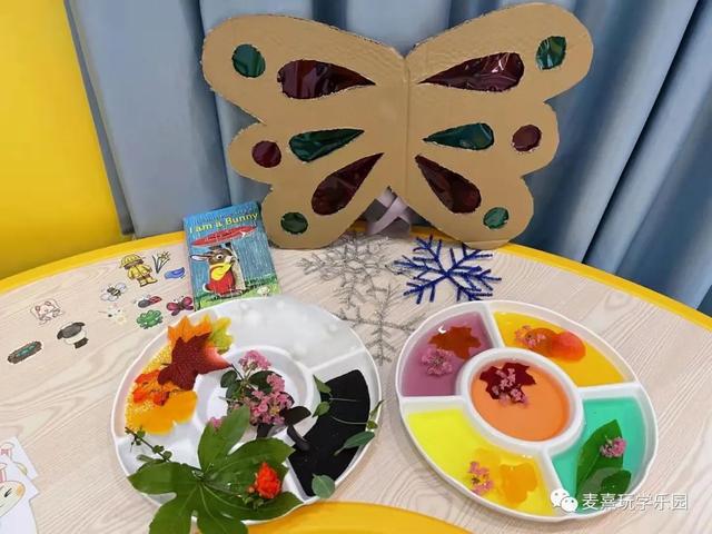 CCTV发现品牌栏目组-MACY是如何让小朋友们越玩越聪明的?麦喜玩学