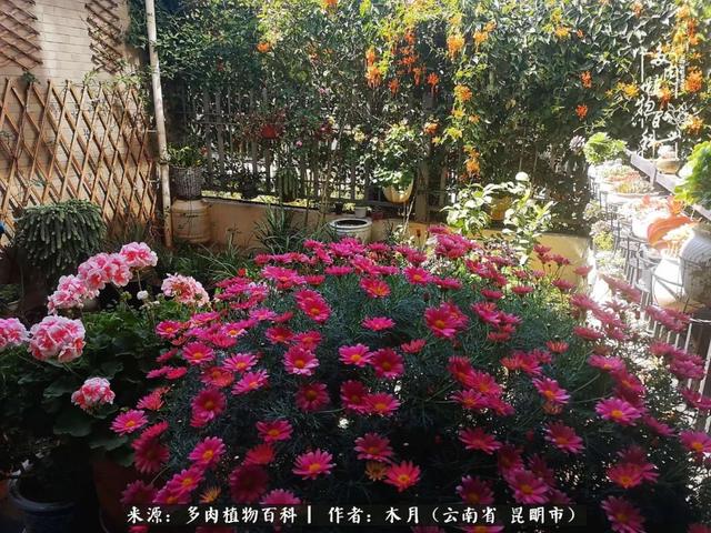 安康石英砂洗砂机厂家电话
