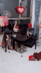 幽默的动态图片GIF：这舞是不是要火，太沙雕了