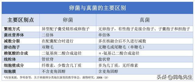 辟谣：水霉病不能按真菌性鱼病治疗？错！这是对水霉菌的一知半解6