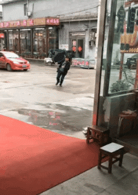 爆笑的GIF动态图：马蜂窝不是你想捅就能捅的