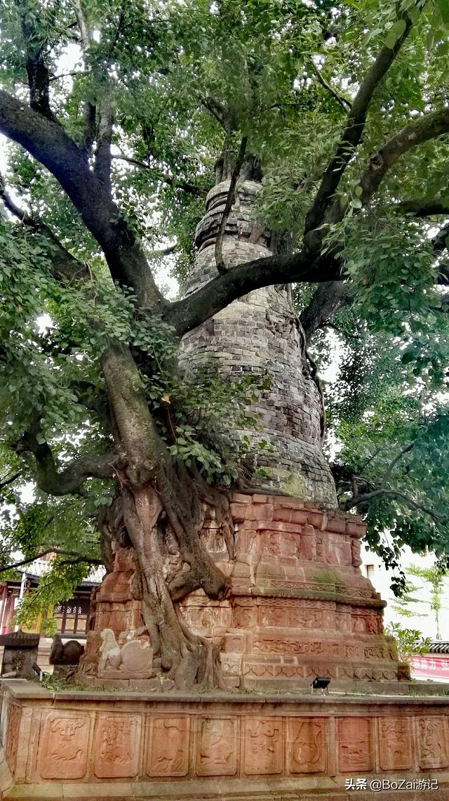 普洱旅游