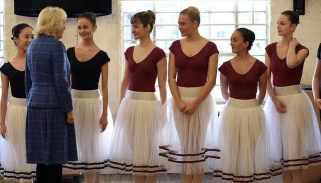 戴安娜卡米拉和查尔斯的故事（查尔斯双标）