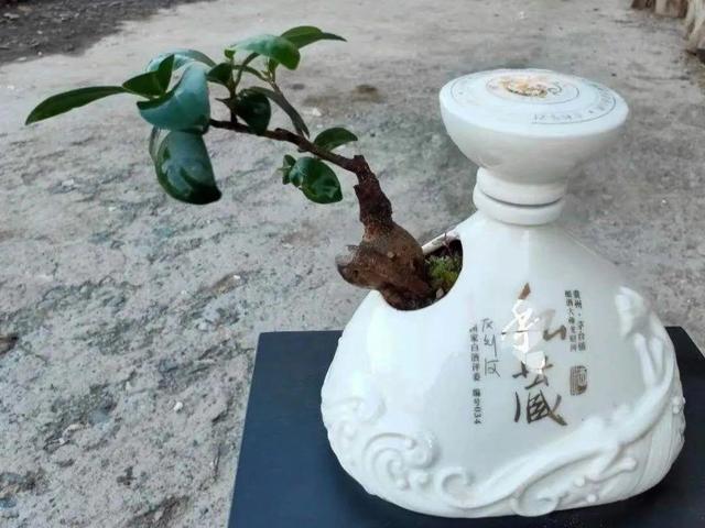 洗土豆机更换金刚砂