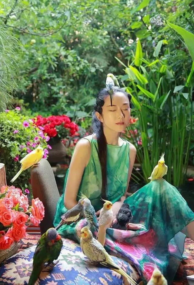 杨丽萍婚姻 杨丽萍婚姻（杨丽萍婚姻状况） 生活