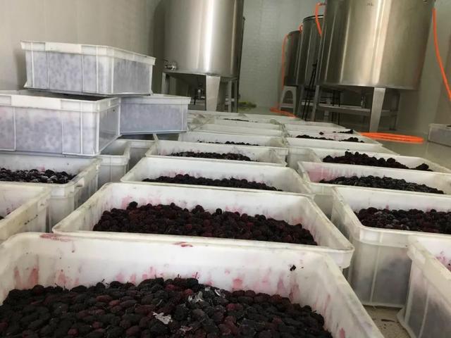 圆盘过滤机酱油