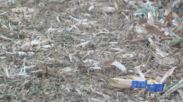 在家如何做个小型的破碎机