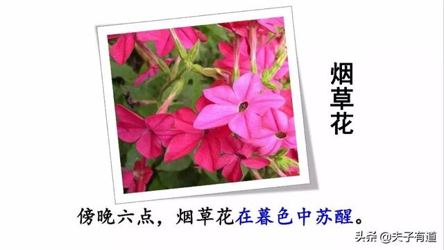 芳组词