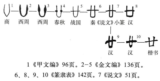 廿是什么意思