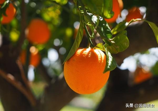 百度橙子的功效(橙子的营养价值及功效，吃橙子有什么好处？)