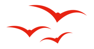 拯救大兵哈啰：100亿人民币融资烧光后阿里无奈掏出皮夹子