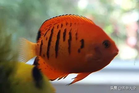 一缸多过滤机