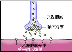 为啥禁百草枯不禁它？带你详细了解有机磷农药中毒3