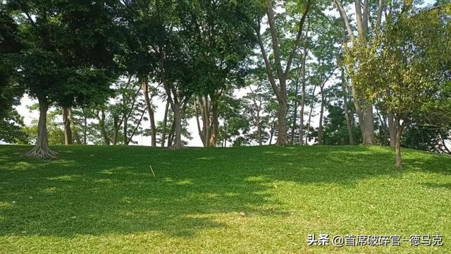 顺德二手破碎机