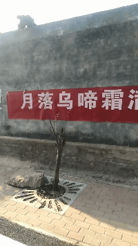 爆笑的GIF趣图：想要吃霸王餐，先把屁股翘起来！
