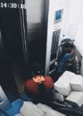 搞笑动图趣图：这狗子还能要嘛