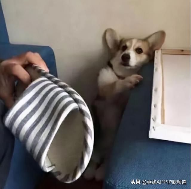 毛周角化涂玻尿酸