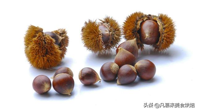 坚果类食物