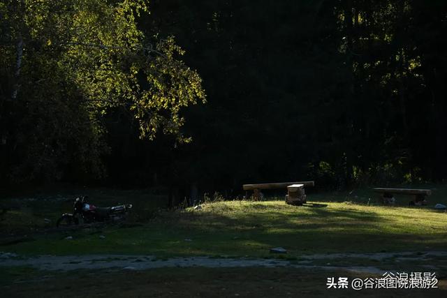 油擦 油擦（颈椎病用精油擦） 生活