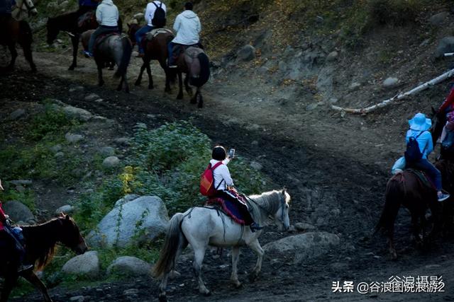 油擦 油擦（颈椎病用精油擦） 生活