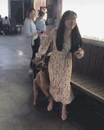 美女的内涵图片会动的：我就是一色狗，妹子别跑！