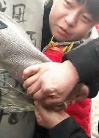 搞笑的动图GIF：熬了三十年终于坐上了肆无忌惮的位置