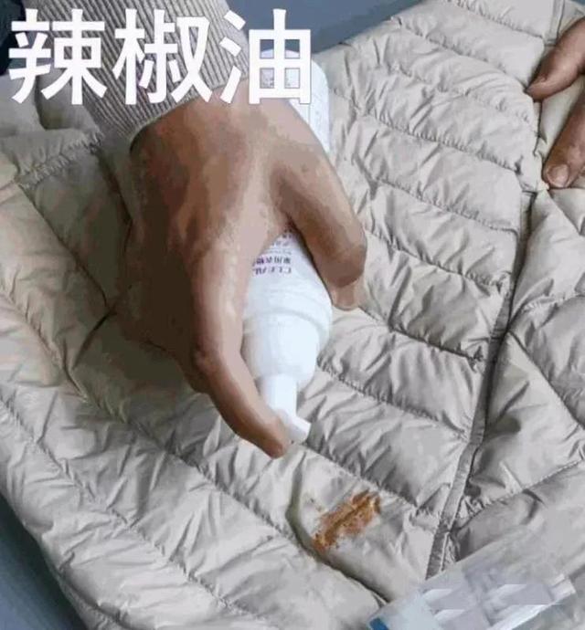 白色羽绒服发黄怎么洗白放久了发黄怎么洗白(羽绒服晾干后有黄印能洗掉吗)