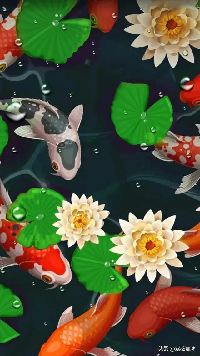 点赞转发锦鲤图,前程似锦,一路繁花,好运常在插图(8)