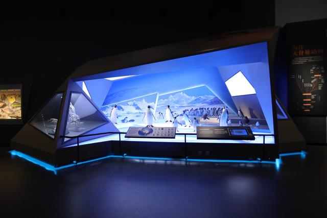 展陈工程施工进度计划