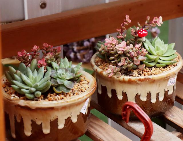 食色佳人全本小说章节(食色佳人小说免费阅读最新章节)