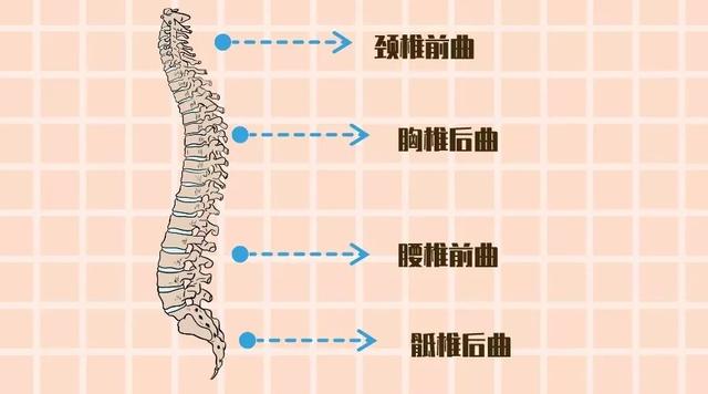 记忆枕头