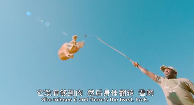 金属破碎机每日开机前必做检查比例失重调整